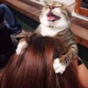 Meet your Posher, Vyacheslav